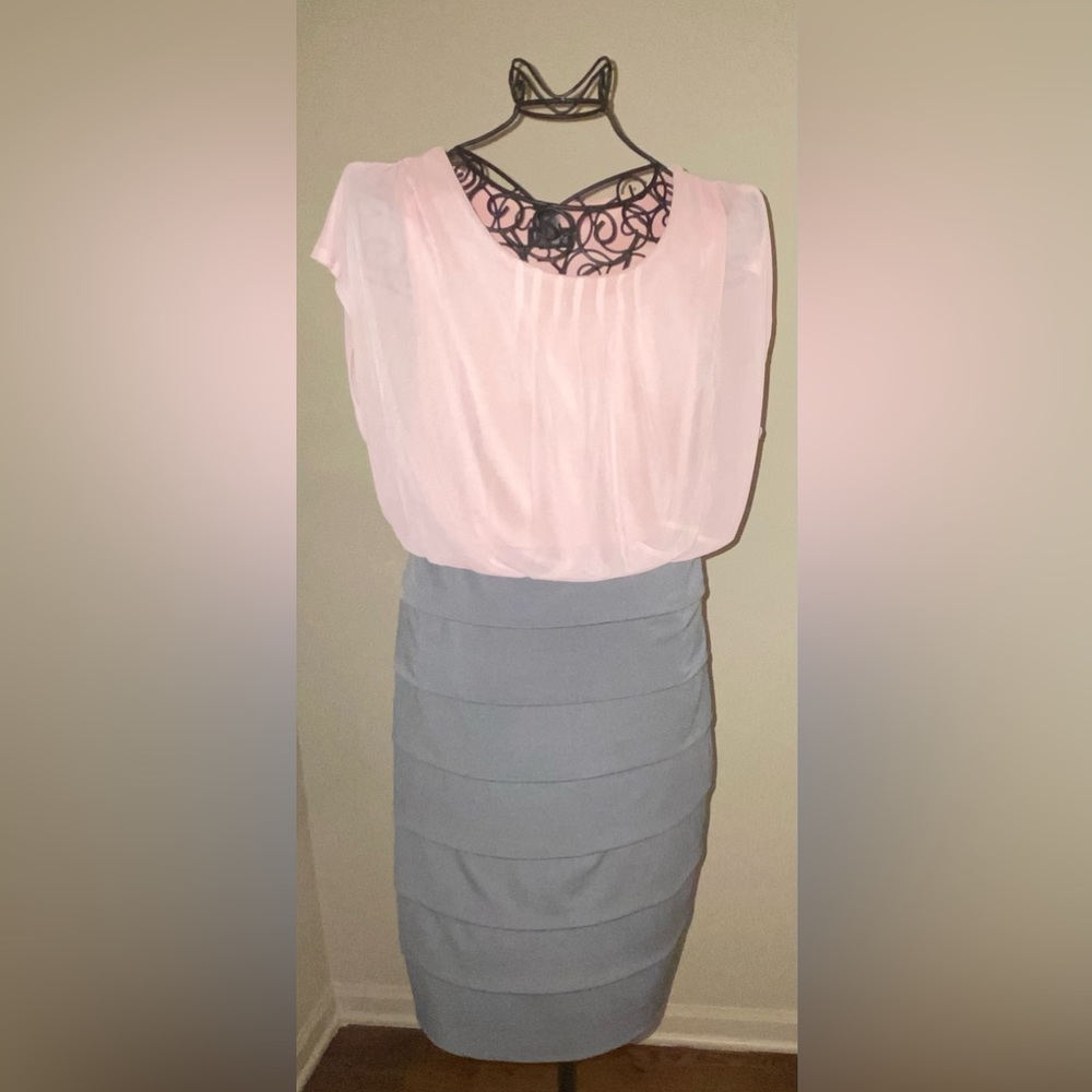 Dress Enfocus Studio Pink & Gray Size 14